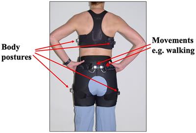 The Fidget Factor and the obesity paradox. How small movements have big impact